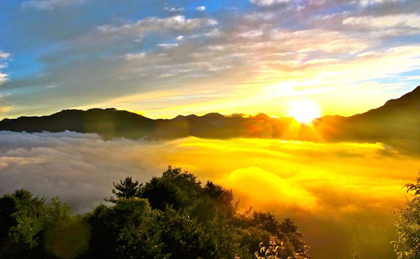 Alishan National Scienic Area