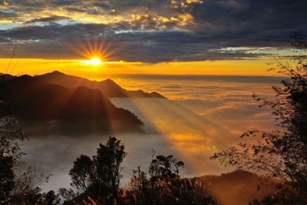 Sunrise in Alishan Area Chushan