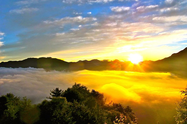 Alishan National Scienic Area