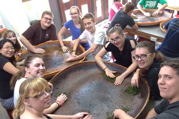 Tea DIY Program