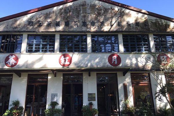 Tea Farm(Tea Factory)