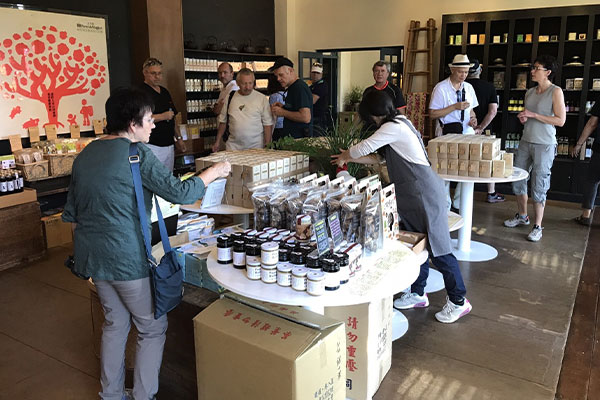 Tea farm(Tea Shop)