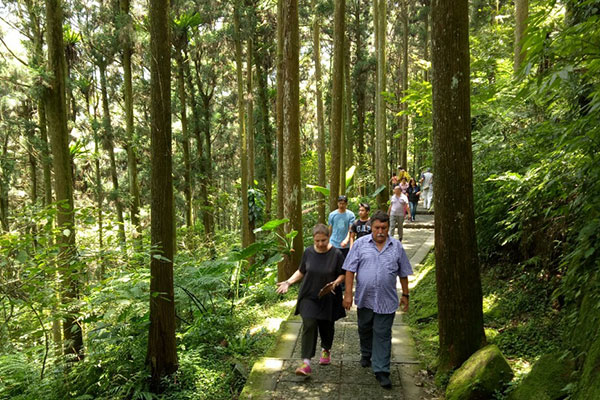 Xitou Forest Trail