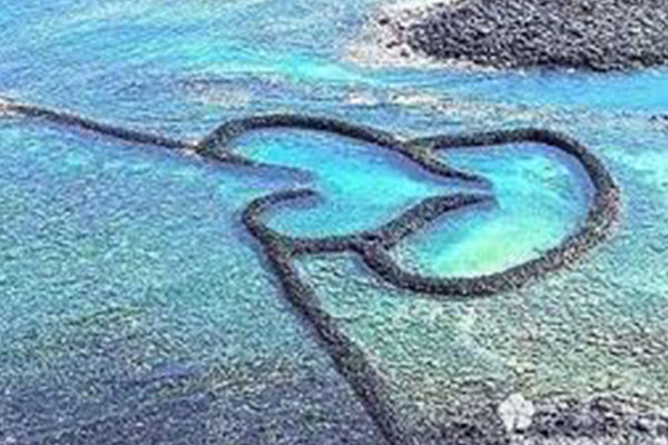 Two hearts