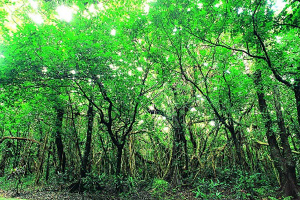 Kenting National Forest Recreation Area