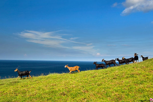 LongPan Park