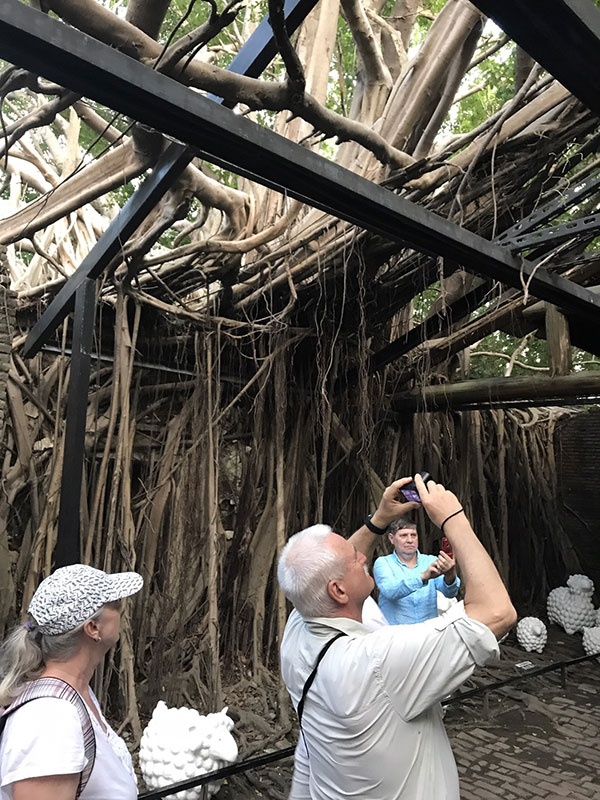 Anping Tree House
