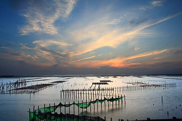Cigu Lagoon