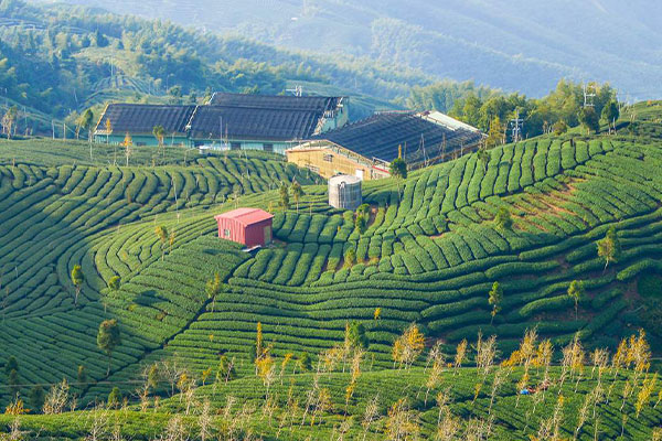 Pinglin, New Taipei City