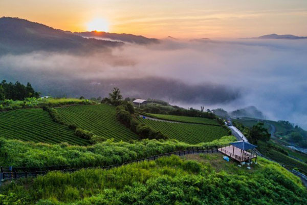 Pinglin Area, New Taipei City