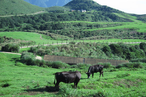 Yangmingshan National Park