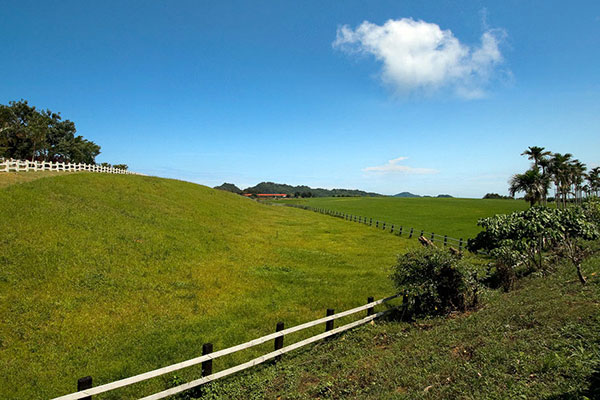 Chulu Ranch