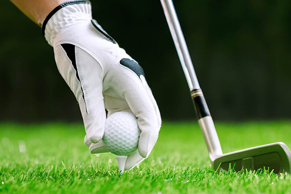 成都號熊貓專列-青海新疆率性之旅13+2晚