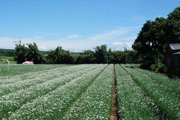 ESG 綠能循環經濟.漫步大溪一日遊